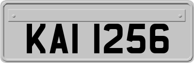 KAI1256