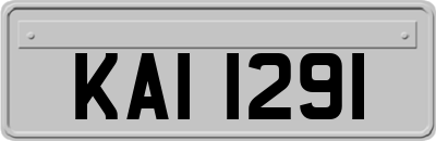 KAI1291