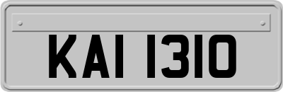 KAI1310