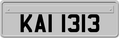 KAI1313