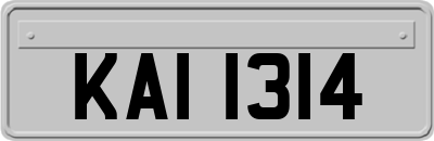 KAI1314