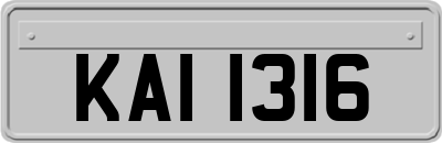 KAI1316
