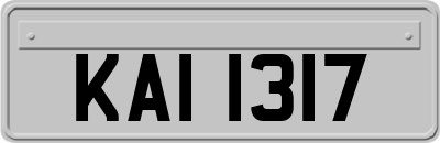 KAI1317