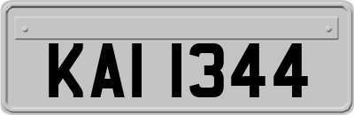 KAI1344