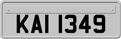 KAI1349