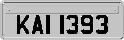KAI1393