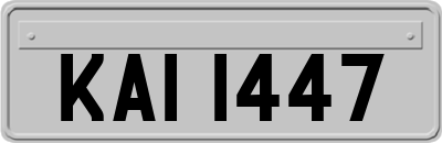 KAI1447