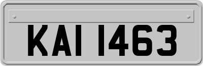 KAI1463