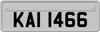 KAI1466