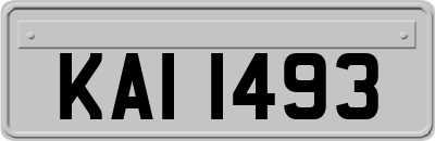 KAI1493