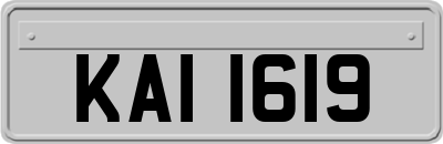 KAI1619