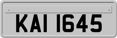 KAI1645