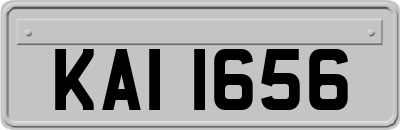 KAI1656