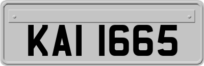 KAI1665