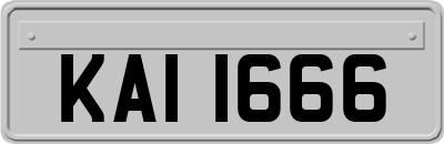 KAI1666