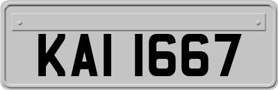 KAI1667