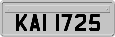 KAI1725