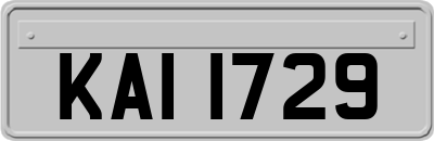 KAI1729