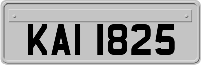 KAI1825
