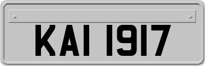 KAI1917