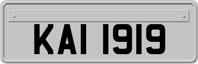KAI1919