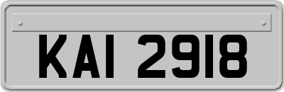 KAI2918