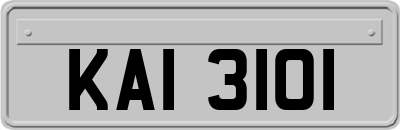 KAI3101