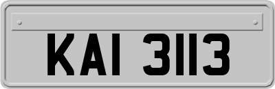 KAI3113