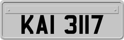 KAI3117