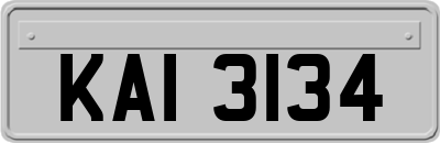 KAI3134