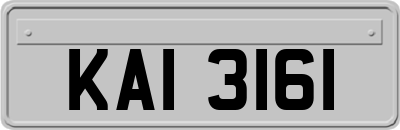 KAI3161