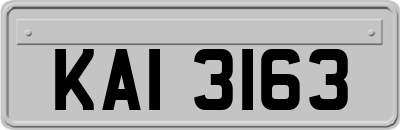 KAI3163