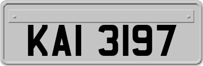 KAI3197
