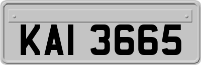 KAI3665