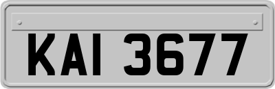 KAI3677