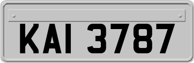 KAI3787