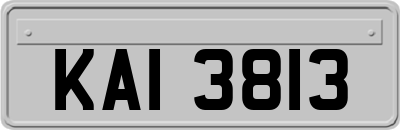 KAI3813