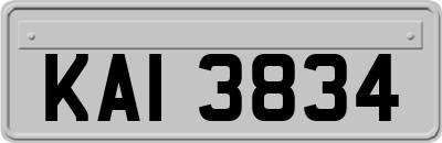 KAI3834
