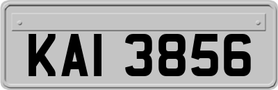 KAI3856