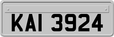 KAI3924