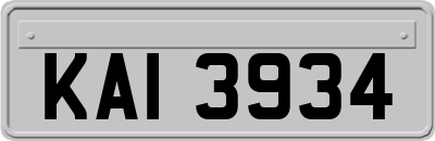 KAI3934