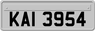 KAI3954