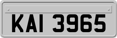 KAI3965