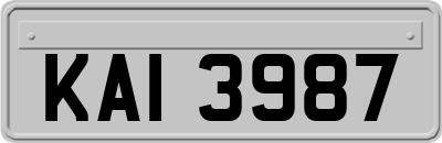 KAI3987