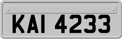 KAI4233