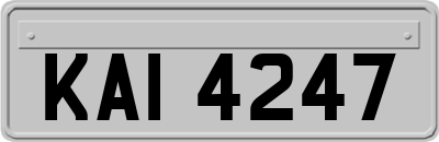 KAI4247