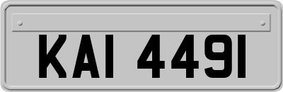 KAI4491