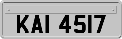KAI4517