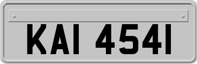 KAI4541