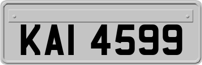 KAI4599